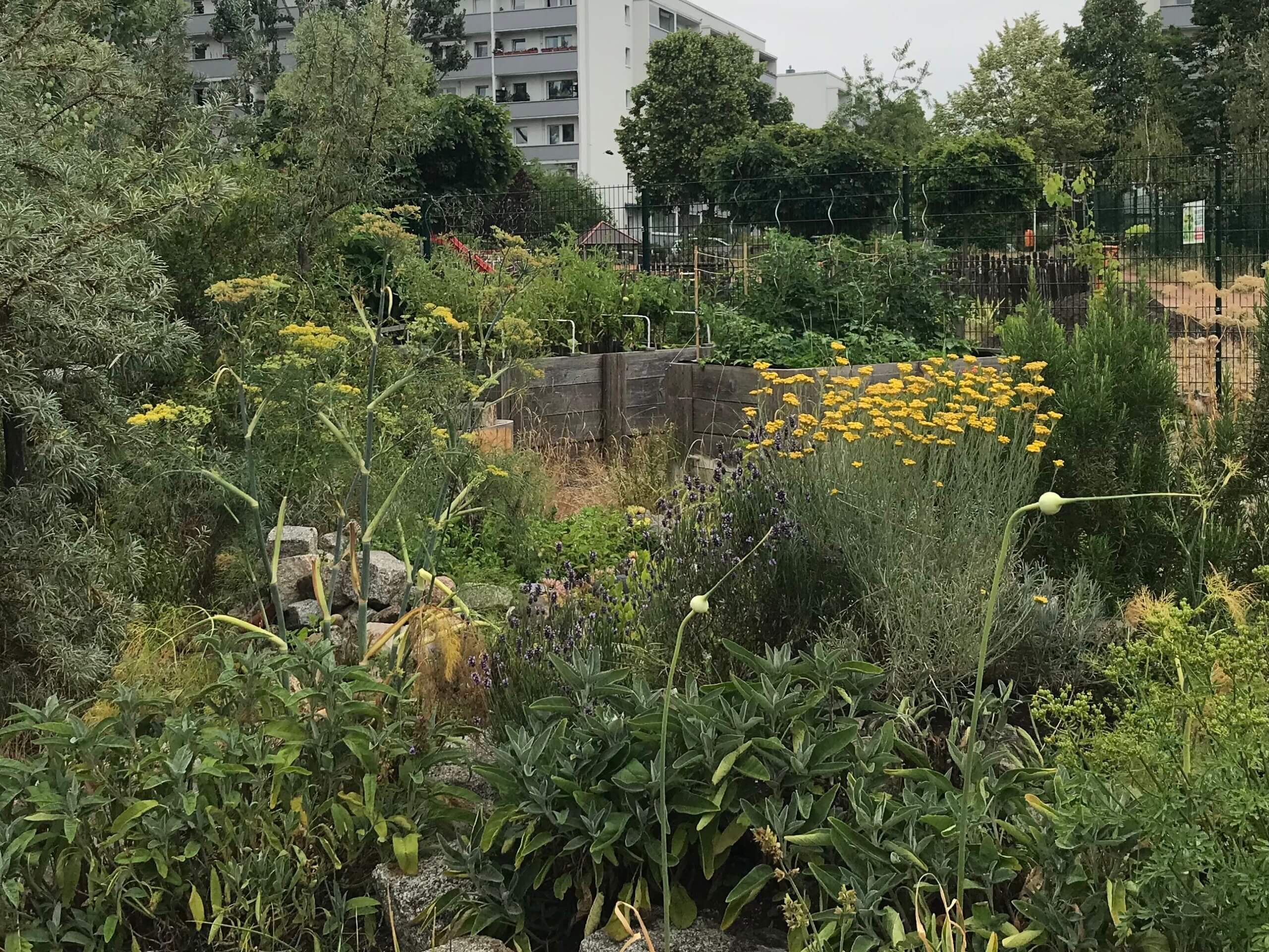 Gemeinschaftgaerten Marzahn-Hellersdorf